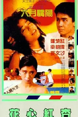 二区三区美女视频在线观看